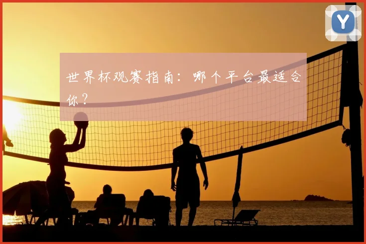 世界杯观赛指南：哪个平台最适合你？