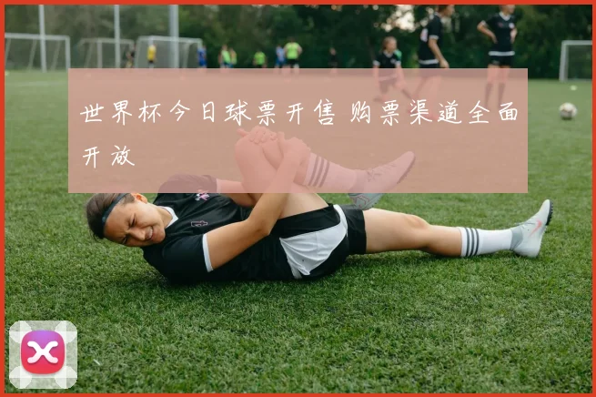 世界杯今日球票开售 购票渠道全面开放