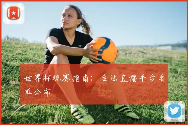 世界杯观赛指南：合法直播平台名单公布