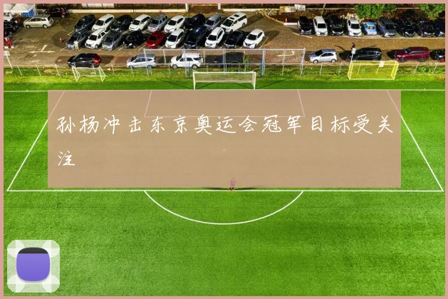 孙杨冲击东京奥运会冠军目标受关注