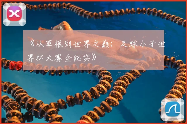 《从草根到世界之巅:足球小子世界杯大赛全纪实》