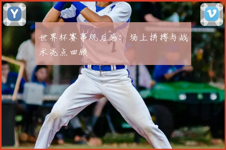 世界杯赛事观后感:场上拼搏与战术亮点回顾