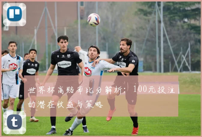 世界杯高赔率比分解析:100元投注的潜在收益与策略