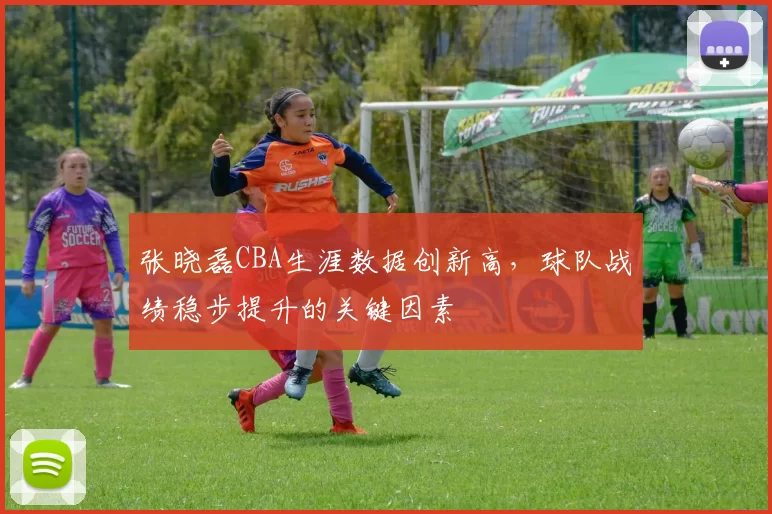 张晓磊CBA生涯数据创新高，球队战绩稳步提升的关键因素