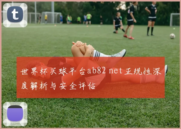 世界杯买球平台ab82 net正规性深度解析与安全评估
