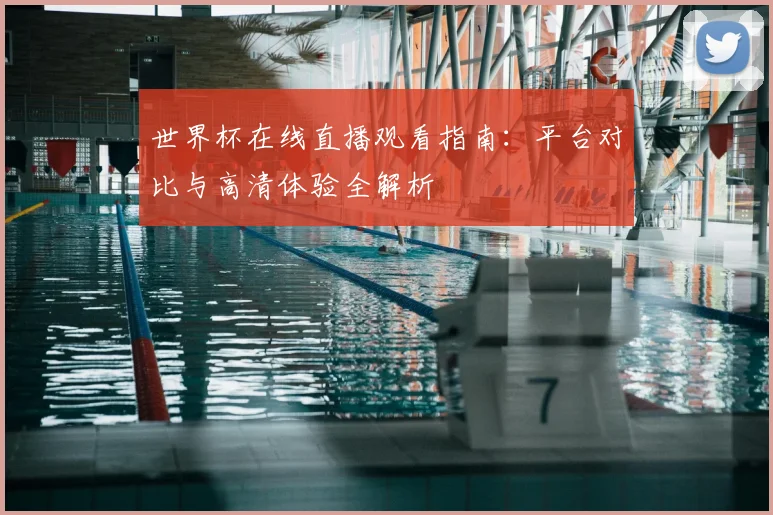 世界杯在线直播观看指南:平台对比与高清体验全解析