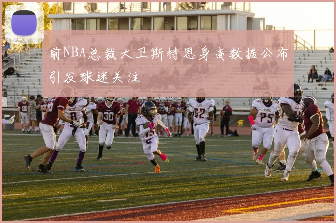 前NBA总裁大卫斯特恩身高数据公布引发球迷关注