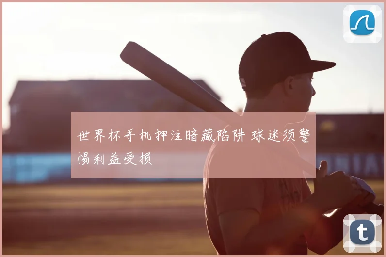 世界杯手机押注暗藏陷阱 球迷须警惕利益受损