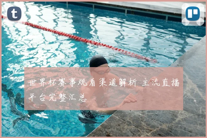 世界杯赛事观看渠道解析 主流直播平台完整汇总