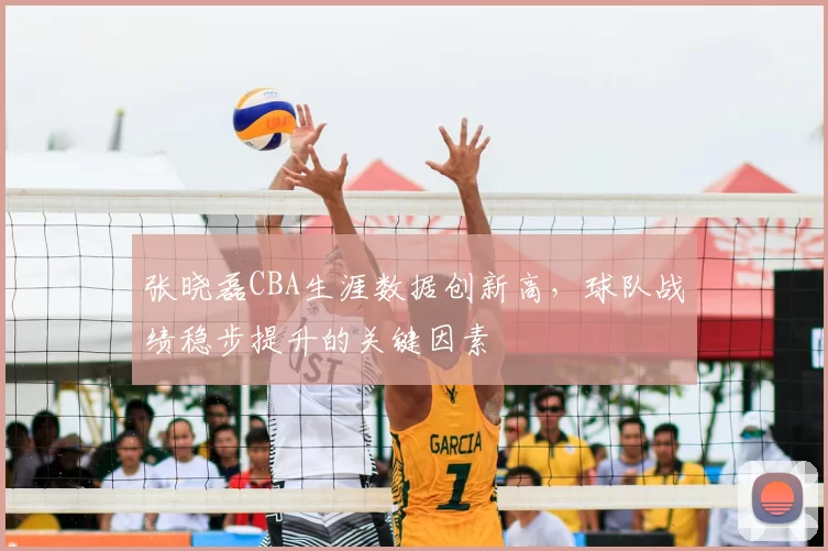 张晓磊CBA生涯数据创新高，球队战绩稳步提升的关键因素