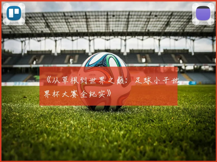 《从草根到世界之巅:足球小子世界杯大赛全纪实》