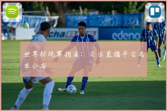 世界杯观赛指南:合法直播平台名单公布