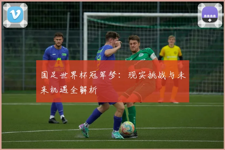国足世界杯冠军梦:现实挑战与未来机遇全解析