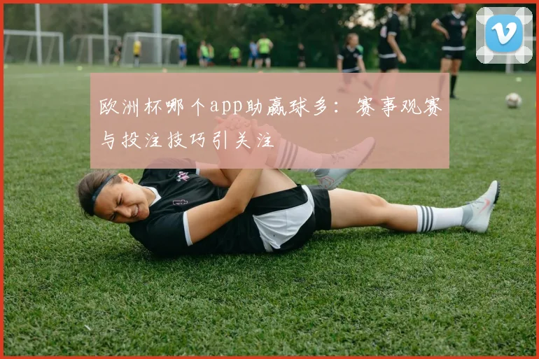 欧洲杯哪个app助赢球多:赛事观赛与投注技巧引关注