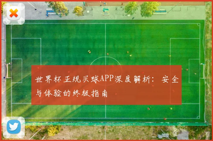 世界杯正规买球APP深度解析:安全与体验的终极指南
